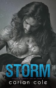7c4f8-storm2bcover