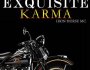 Exquisite Karma by Ann&nbsp;Mayburn