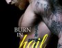 Review: Burn In Hail by Lani Lynn&nbsp;Vale