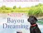 Review: Bayou Dreaming by Lexi&nbsp;Blake