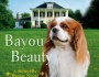 Cover Reveal: Bayou Beauty by Lexi&nbsp;Blake