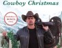 Review: Home for a Cowboy Christmas by Donna&nbsp;Grant