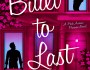 Review: Built to Last by Lexi&nbsp;Blake